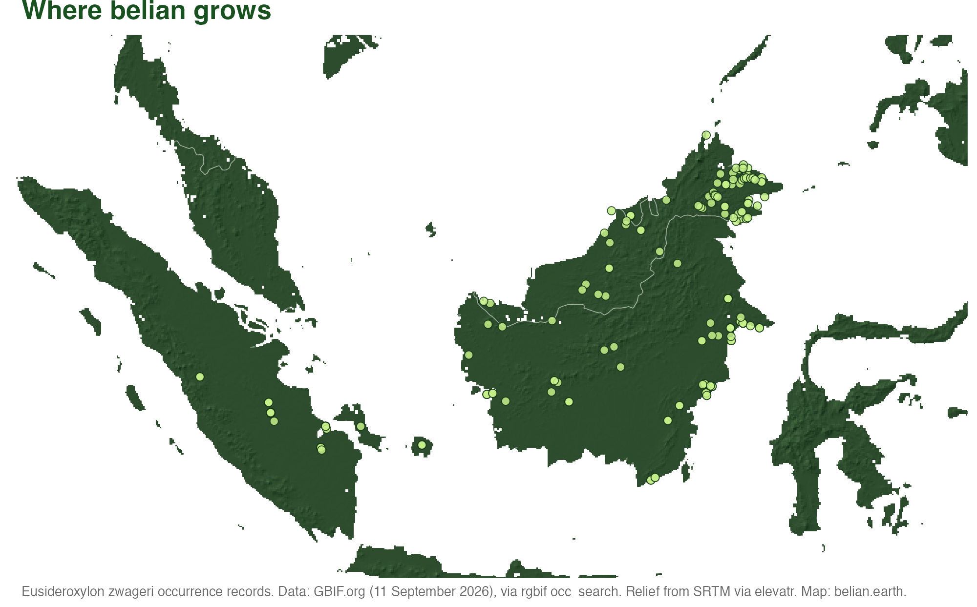 Map of Sumatra, Borneo and the southern Philippines with dark green dots marking Eusideroxylon zwageri occurrence records from GBIF, concentrated across Borneo and eastern Sumatra