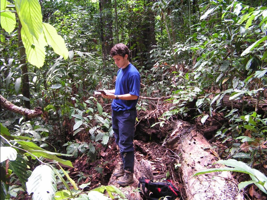 A young researcher measures the light environment after a liana cutting treatment, Sabah, early 2000s