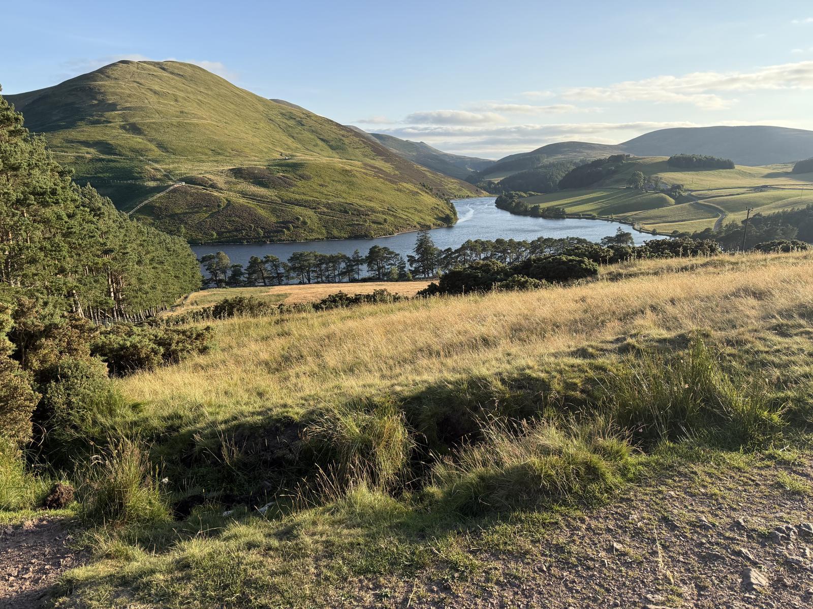 Evening light over Glencorse Reservoir in the Pentland Hills Regional Park, Scotland, with stands of Scots pine along the shoreline and hills beyond.